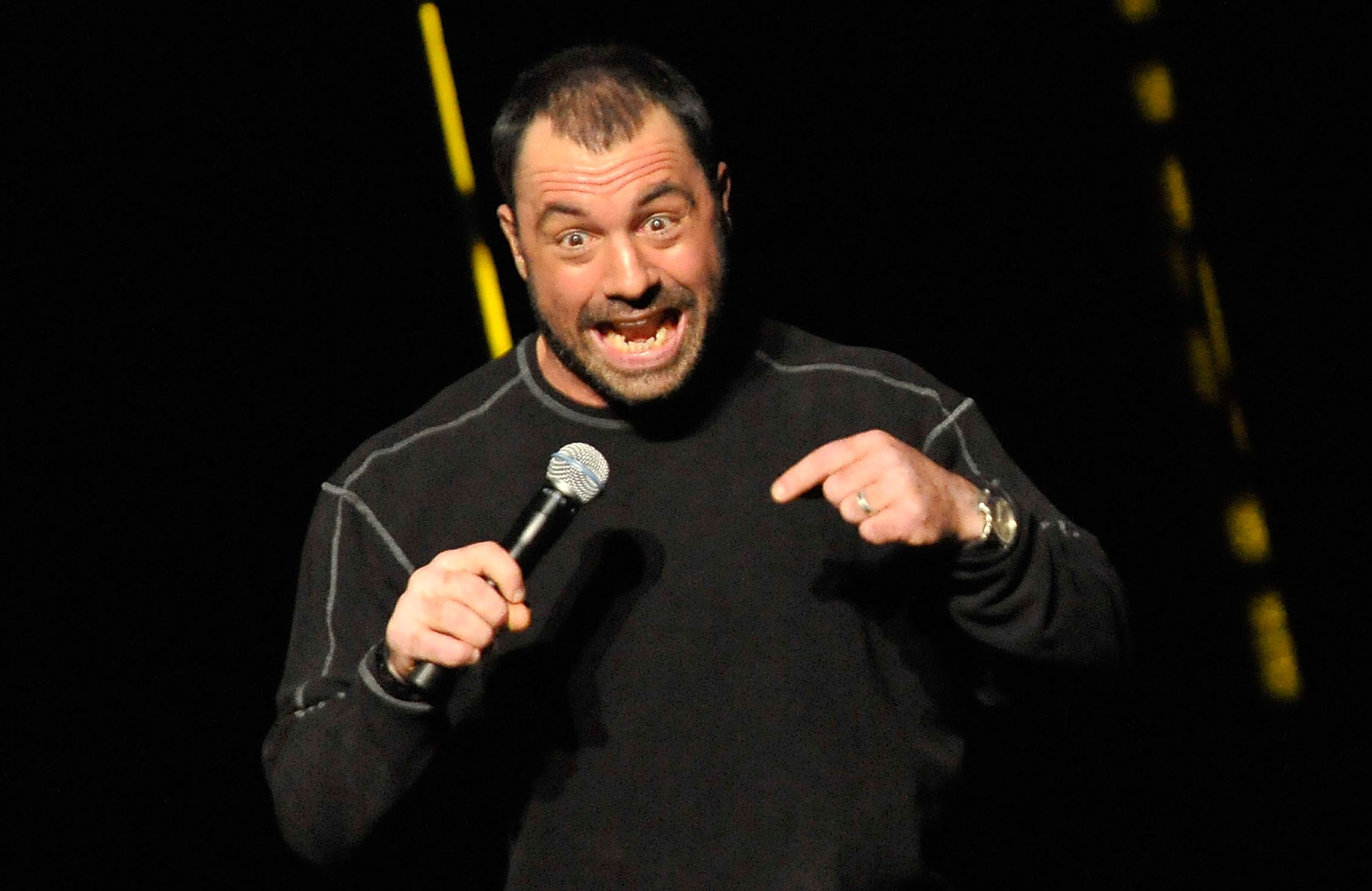 joe rogan roseanne