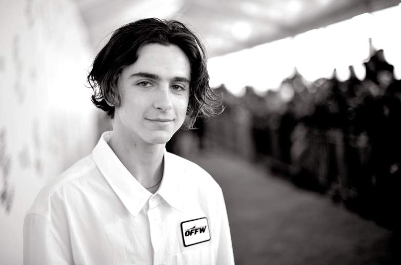 timothee chalamet