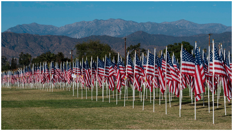 panera veterans day 2019