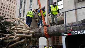 Christmas Tree Lighting Rockefeller Center Time Date