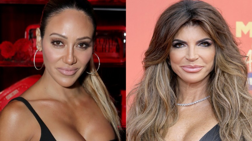 Melissa Gorga and Teresa Giudice