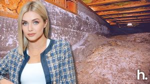 Lindsay Arnold.