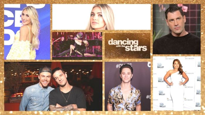 DWTS Pros
