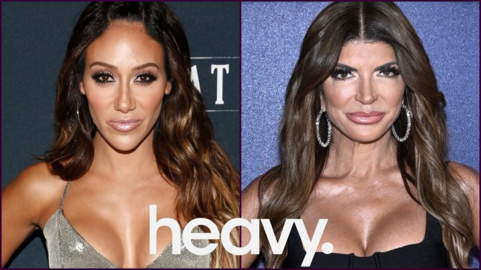 Melissa Gorga and Teresa Giudice.