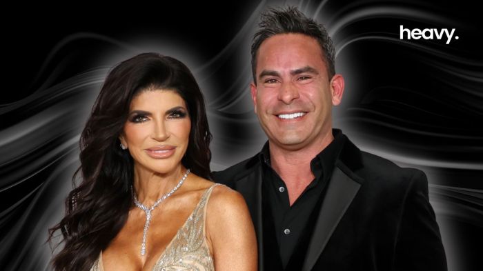 Teresa Giudice and Luis Ruelas.