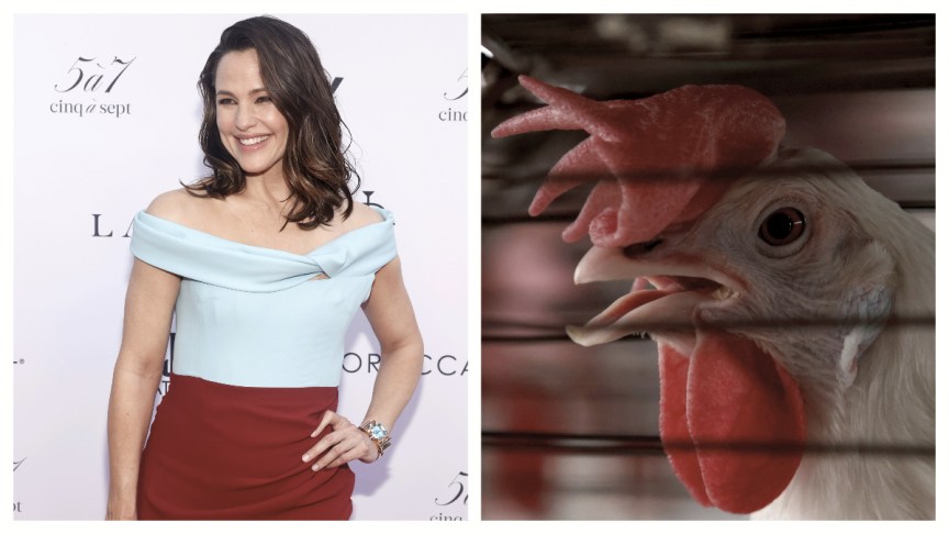 jennifer garner chicken