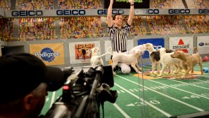 Puppy Bowl
