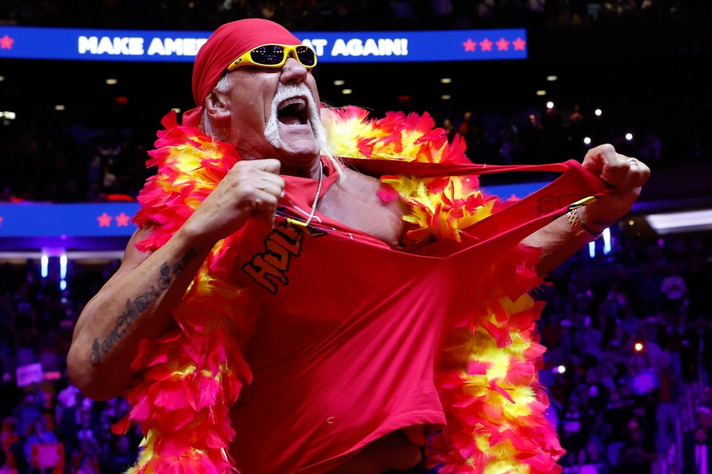 Hulk Hogan takes the stage 