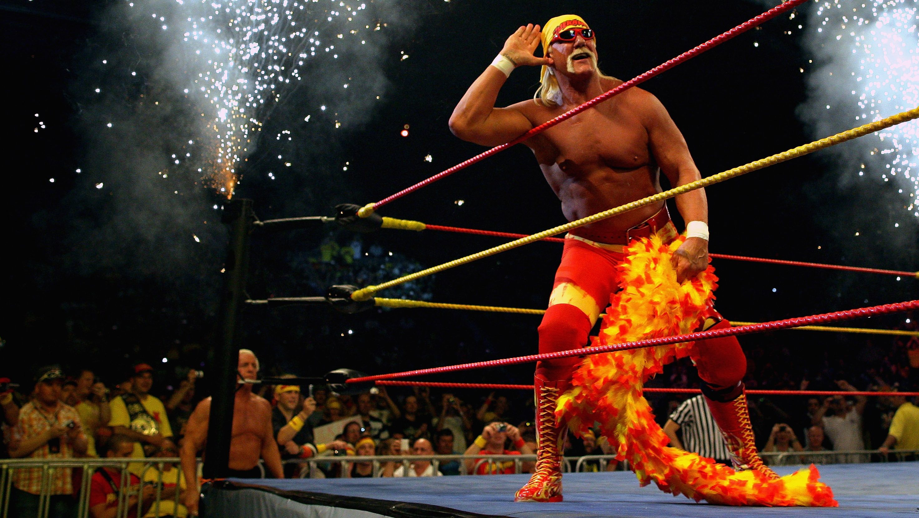 Hulk Hogan at Hulk Hogan's Hulkamania Tour in 2009