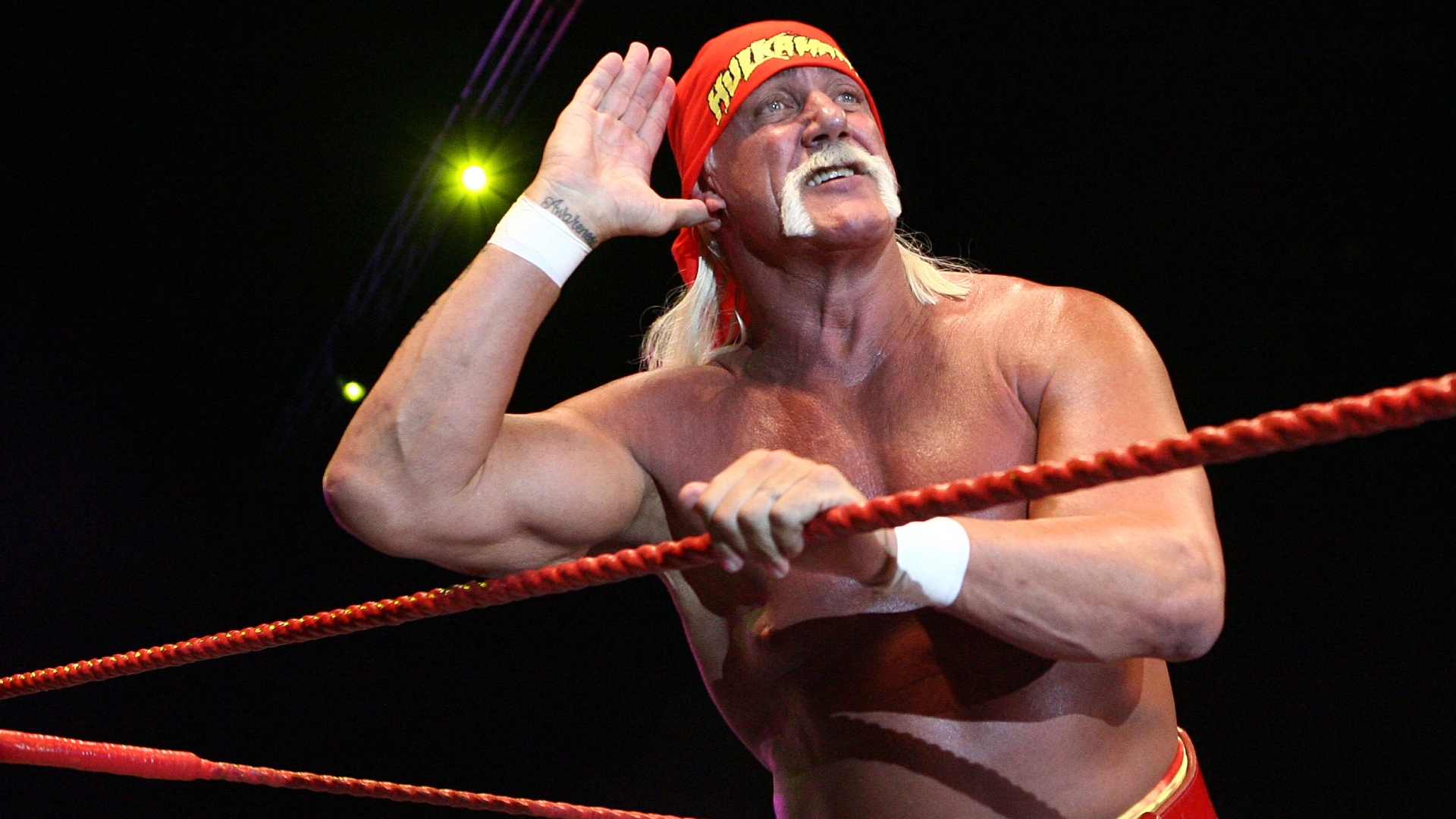Hulk Hogan in the WWE ring