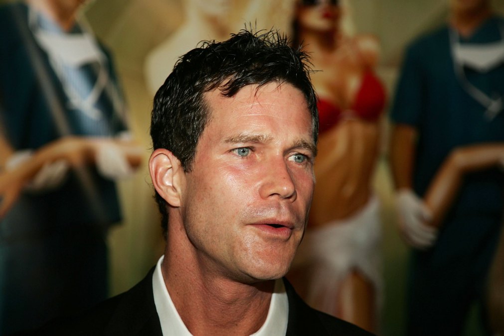 Actor Dylan Walsh,