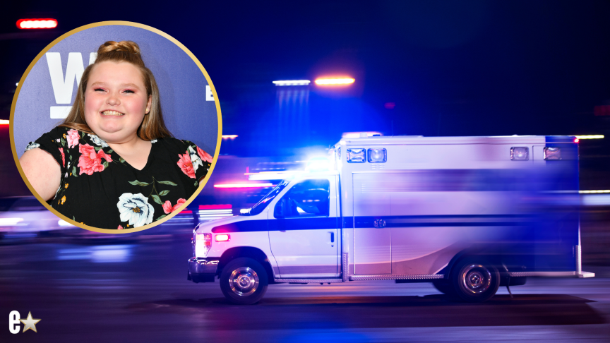 Honey Boo Boo Hurt in Colorado Crash