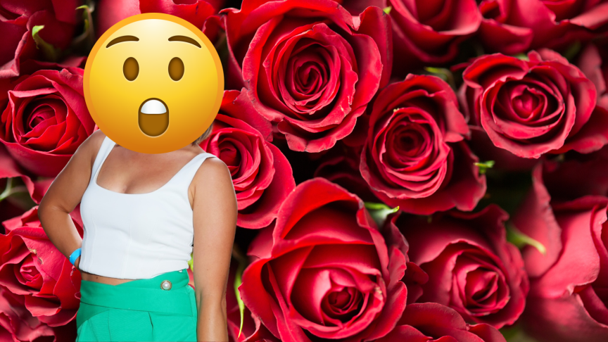 The Bachelorette