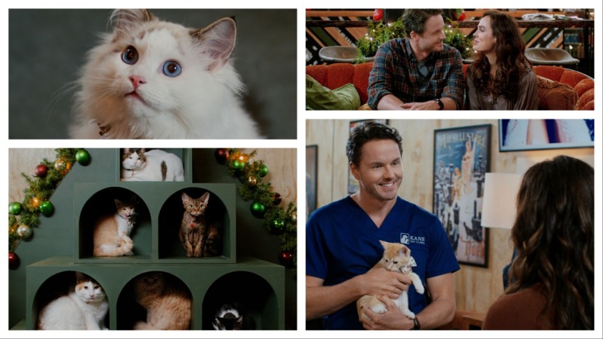 "Christmas at the Catnip Cafe"