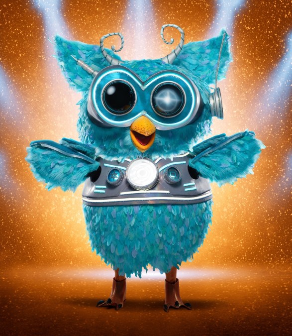Owl