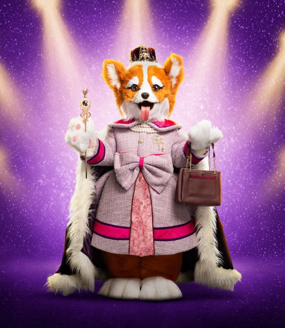 Queen Corgi