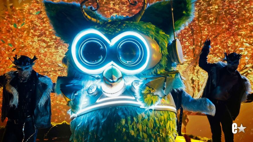 Owl