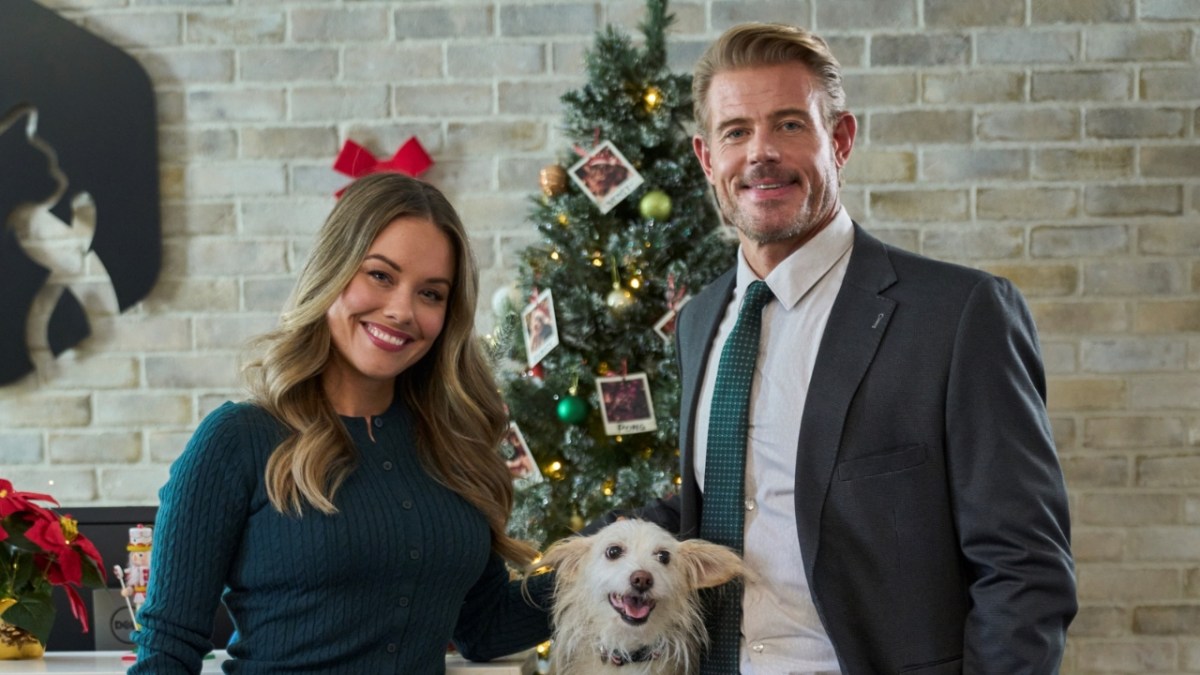 A Christmas Rescue